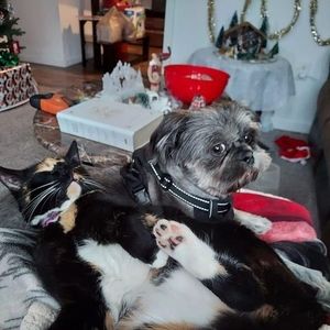 Meet your Posher, Teresa